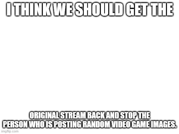 Blank White Template | I THINK WE SHOULD GET THE; ORIGINAL STREAM BACK AND STOP THE PERSON WHO IS POSTING RANDOM VIDEO GAME IMAGES. | image tagged in blank white template | made w/ Imgflip meme maker