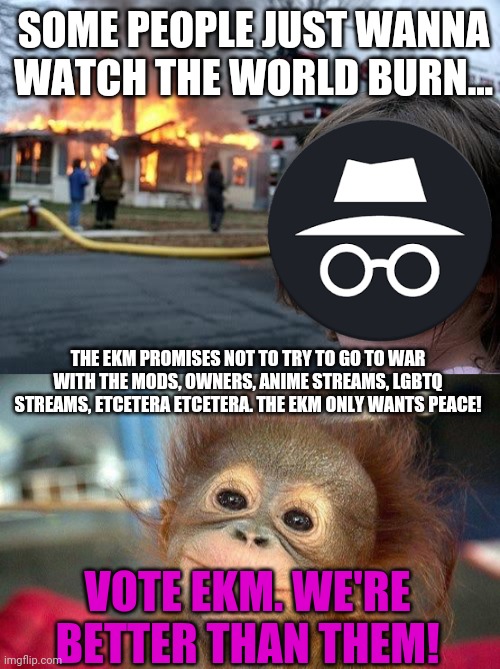Vote EKM! We're better than them! | SOME PEOPLE JUST WANNA WATCH THE WORLD BURN... THE EKM PROMISES NOT TO TRY TO GO TO WAR WITH THE MODS, OWNERS, ANIME STREAMS, LGBTQ STREAMS, ETCETERA ETCETERA. THE EKM ONLY WANTS PEACE! VOTE EKM. WE'RE BETTER THAN THEM! | image tagged in fire girl,cute monkey,ekm,vote,give peace a chance | made w/ Imgflip meme maker