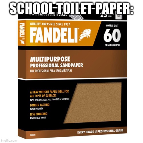 sandpaper | SCHOOL TOILET PAPER: | image tagged in sandpaper | made w/ Imgflip meme maker