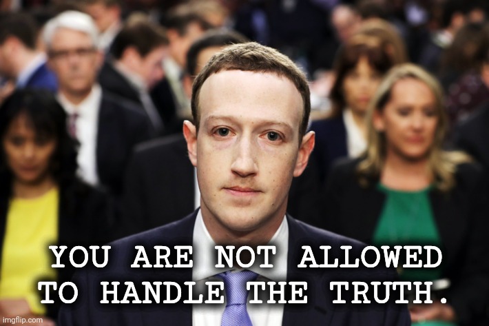 Mark Zuckerberg | YOU ARE NOT ALLOWED TO HANDLE THE TRUTH. | image tagged in mark zuckerberg | made w/ Imgflip meme maker