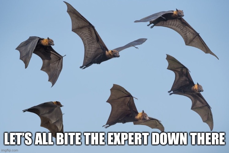 LET’S ALL BITE THE EXPERT DOWN THERE | made w/ Imgflip meme maker