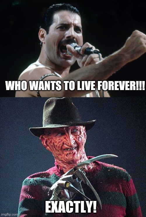 who wants to live forever? | WHO WANTS TO LIVE FOREVER!!! EXACTLY! | image tagged in freddie mercury,freddy krueger | made w/ Imgflip meme maker