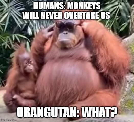 orangutan evolution meme (from finding forbidden tree jelly video by dailydoseofinternet) | HUMANS: MONKEYS WILL NEVER OVERTAKE US; ORANGUTAN: WHAT? | image tagged in monkey,fashion,sunglasses,baby | made w/ Imgflip meme maker