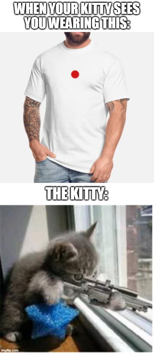 the kitty gonna snipe you | WHEN YOUR KITTY SEES
YOU WEARING THIS:; THE KITTY: | image tagged in cats with guns | made w/ Imgflip meme maker
