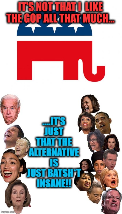 This!! | IT'S NOT THAT I  LIKE THE GOP ALL THAT MUCH... | image tagged in democrats,republicans,democratic party,democratic socialism,memes,politics | made w/ Imgflip meme maker