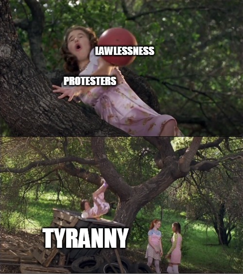 Cokie Knocked Out of the Tree by a Ball and Into the Dumpster | LAWLESSNESS; PROTESTERS; TYRANNY | image tagged in cokie knocked out of the tree by a ball and into the dumpster,memes,riot,riots,protesters | made w/ Imgflip meme maker