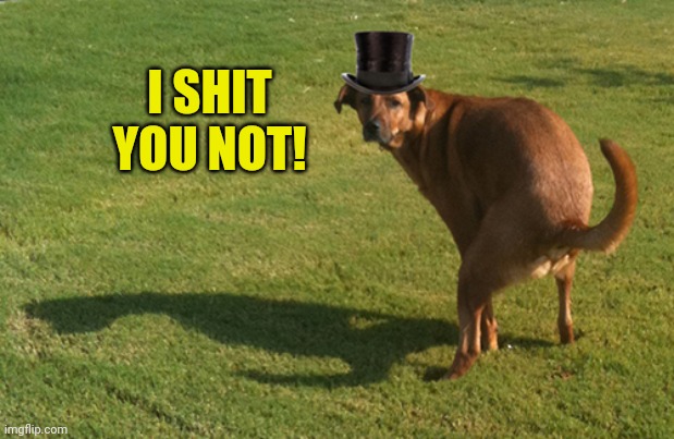 Dog Pooping | I SHIT YOU NOT! | image tagged in dog pooping | made w/ Imgflip meme maker