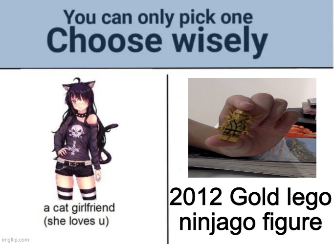 Choose wisley | 2012 Gold lego ninjago figure | image tagged in choose wisely | made w/ Imgflip meme maker