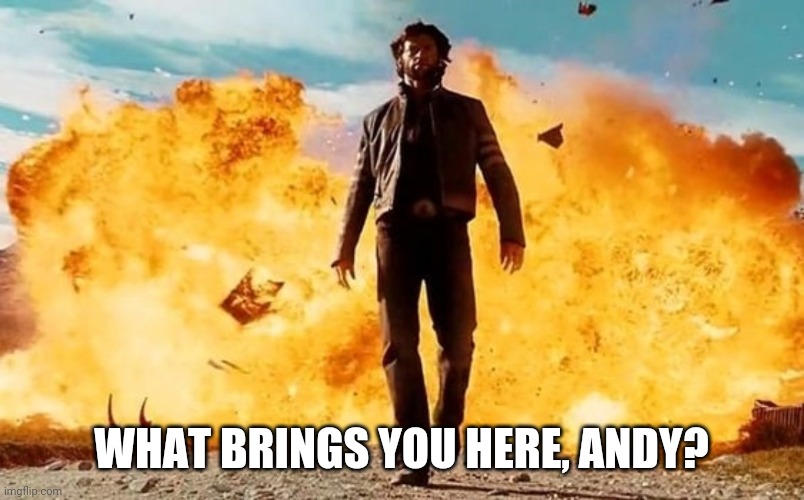 Guy Walking Away From Explosion | WHAT BRINGS YOU HERE, ANDY? | image tagged in guy walking away from explosion | made w/ Imgflip meme maker