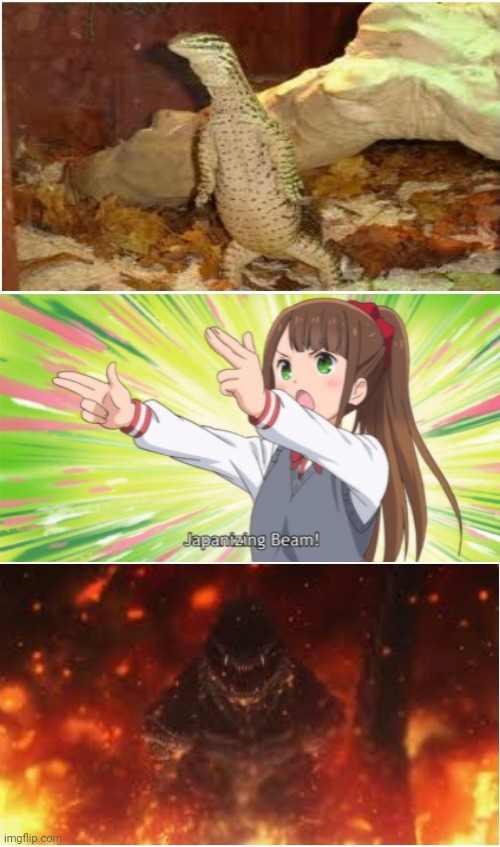RUN IT'S A MONITOR LIZARD | image tagged in anime japanizing beam | made w/ Imgflip meme maker