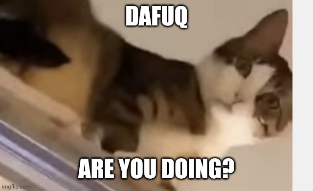 DAFUQ ARE YOU DOING? | made w/ Imgflip meme maker