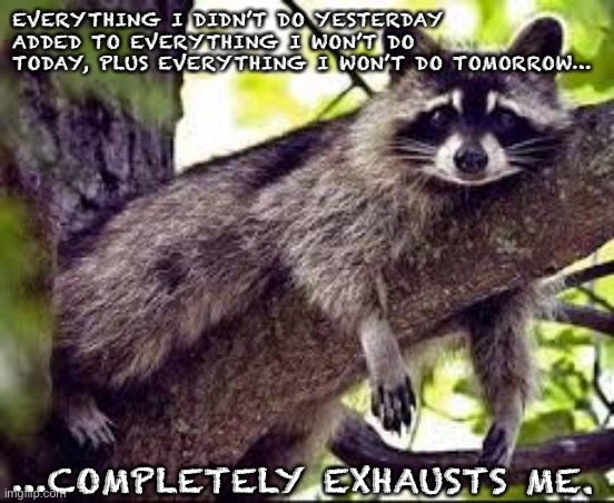 Exhausted Raccoon | EVERYTHING I DIDN’T DO YESTERDAY ADDED TO EVERYTHING I WON’T DO TODAY, PLUS EVERYTHING I WON’T DO TOMORROW…; …COMPLETELY EXHAUSTS ME. | image tagged in exhausted | made w/ Imgflip meme maker