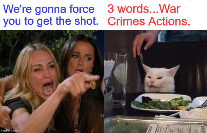 Woman Yelling At Cat | We're gonna force you to get the shot. 3 words...War Crimes Actions. | image tagged in memes,woman yelling at cat | made w/ Imgflip meme maker