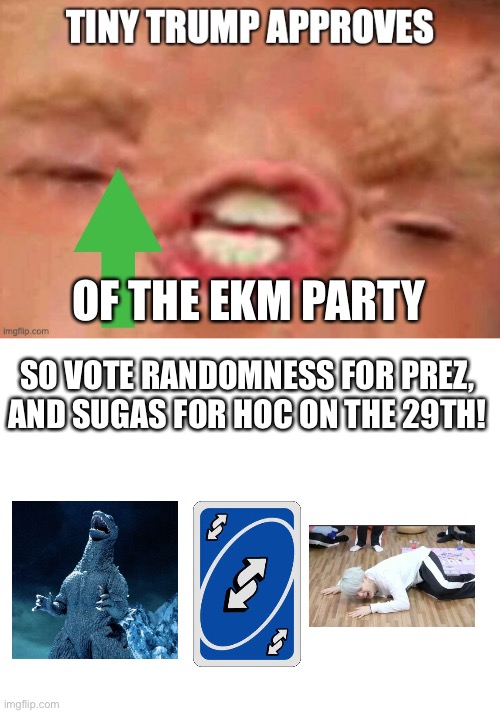 OF THE EKM PARTY; SO VOTE RANDOMNESS FOR PREZ, AND SUGAS FOR HOC ON THE 29TH! | image tagged in tiny trump approves,blank white template | made w/ Imgflip meme maker