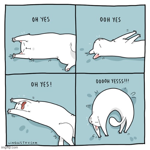 A Cat's Way Of Thinking | image tagged in memes,comics,cats,thinking,sleep,stretch | made w/ Imgflip meme maker