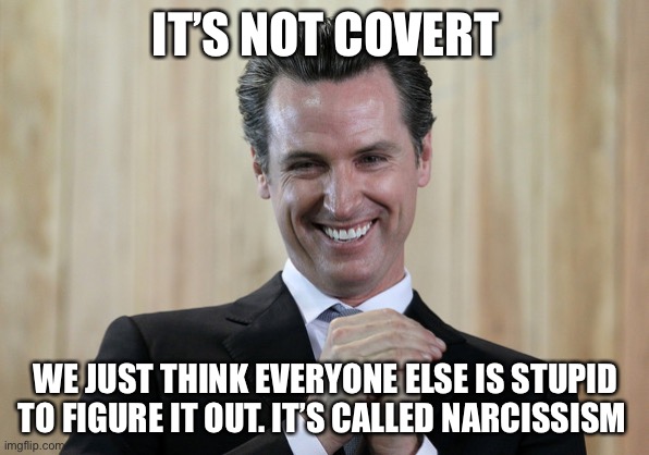 Scheming Gavin Newsom  | IT’S NOT COVERT WE JUST THINK EVERYONE ELSE IS STUPID TO FIGURE IT OUT. IT’S CALLED NARCISSISM | image tagged in scheming gavin newsom | made w/ Imgflip meme maker