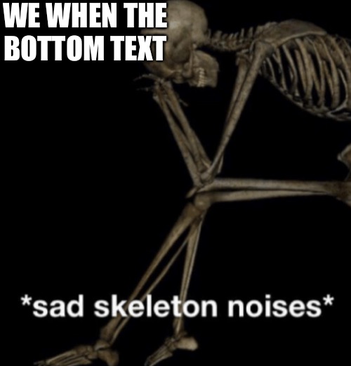 It won’t fit | WE WHEN THE
BOTTOM TEXT | image tagged in sad skeleton noises | made w/ Imgflip meme maker