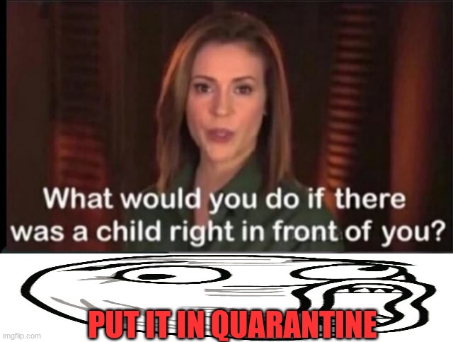 what would you do if there was a child right in front of you? | PUT IT IN QUARANTINE | image tagged in what would you do if there was a child right in front of you | made w/ Imgflip meme maker