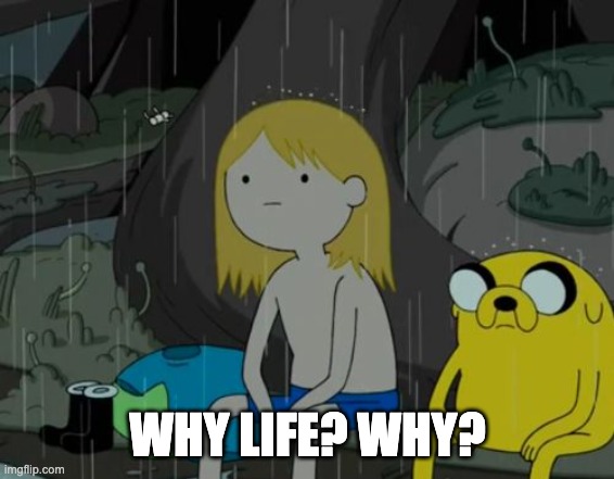 Life Sucks Meme | WHY LIFE? WHY? | image tagged in memes,life sucks | made w/ Imgflip meme maker