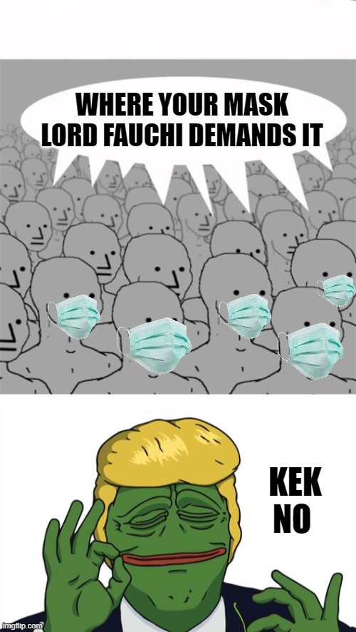 WHERE YOUR MASK LORD FAUCHI DEMANDS IT; KEK NO | image tagged in npcprogramscreed | made w/ Imgflip meme maker