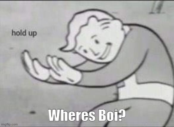 Uh... | Wheres Boi? | image tagged in fallout hold up | made w/ Imgflip meme maker