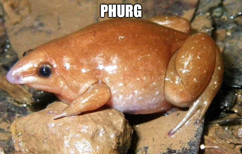 Phurg | PHURG | made w/ Imgflip meme maker