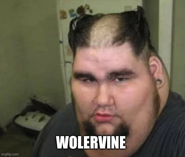 Womervine | WOLERVINE | image tagged in wolverine,fat,funny,memes,funny memes | made w/ Imgflip meme maker