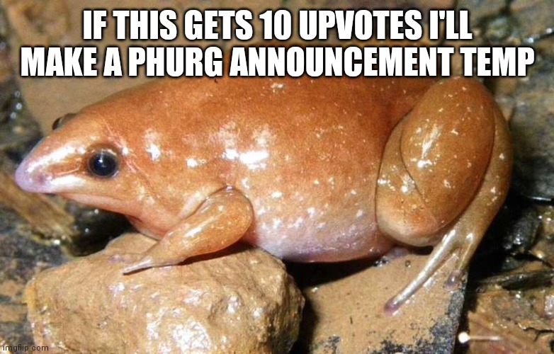 Phurg | IF THIS GETS 10 UPVOTES I'LL MAKE A PHURG ANNOUNCEMENT TEMP | image tagged in phurg | made w/ Imgflip meme maker