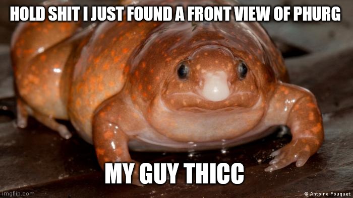 HOLD SHIT I JUST FOUND A FRONT VIEW OF PHURG; MY GUY THICC | made w/ Imgflip meme maker