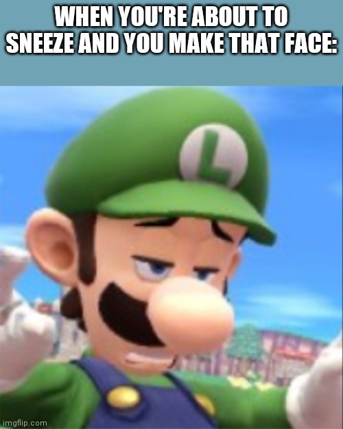 That face... | WHEN YOU'RE ABOUT TO SNEEZE AND YOU MAKE THAT FACE: | image tagged in luigi,super smash bros,funny meme | made w/ Imgflip meme maker