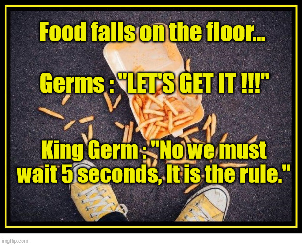 Five Second Rule |  Food falls on the floor... Germs : "LET'S GET IT !!!"; King Germ : "No we must wait 5 seconds, It is the rule." | image tagged in rules,food,mess | made w/ Imgflip meme maker