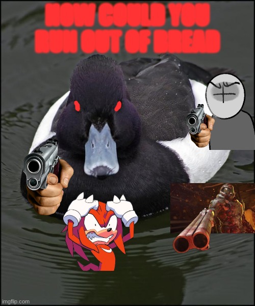 Angry duck | HOW COULD YOU RUN OUT OF BREAD | image tagged in angry duck | made w/ Imgflip meme maker
