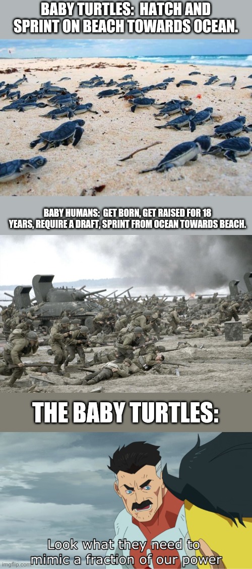 Isn't it weird ... | BABY TURTLES:  HATCH AND SPRINT ON BEACH TOWARDS OCEAN. BABY HUMANS:  GET BORN, GET RAISED FOR 18 YEARS, REQUIRE A DRAFT, SPRINT FROM OCEAN TOWARDS BEACH. THE BABY TURTLES: | image tagged in fraction of our power | made w/ Imgflip meme maker