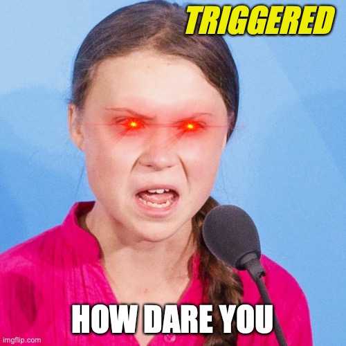 How Dare You | TRIGGERED HOW DARE YOU | image tagged in how dare you | made w/ Imgflip meme maker
