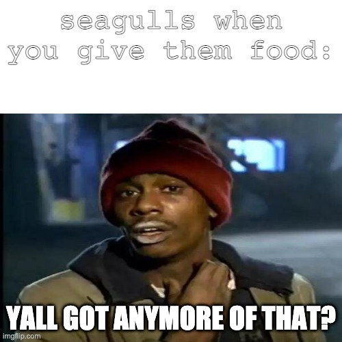 bad summer meme | seagulls when you give them food:; YALL GOT ANYMORE OF THAT? | image tagged in summer | made w/ Imgflip meme maker