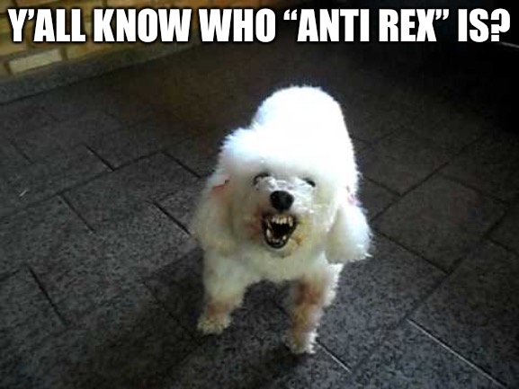 Lil question, nothing hateful. | Y’ALL KNOW WHO “ANTI REX” IS? | image tagged in angry poodle | made w/ Imgflip meme maker