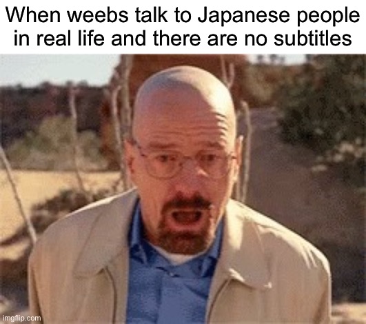 Uh… konychywha | When weebs talk to Japanese people in real life and there are no subtitles | image tagged in walter white,funny,memes,antianime,anti anime | made w/ Imgflip meme maker