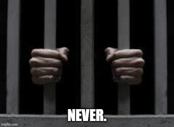 Jail | NEVER. | image tagged in jail | made w/ Imgflip meme maker