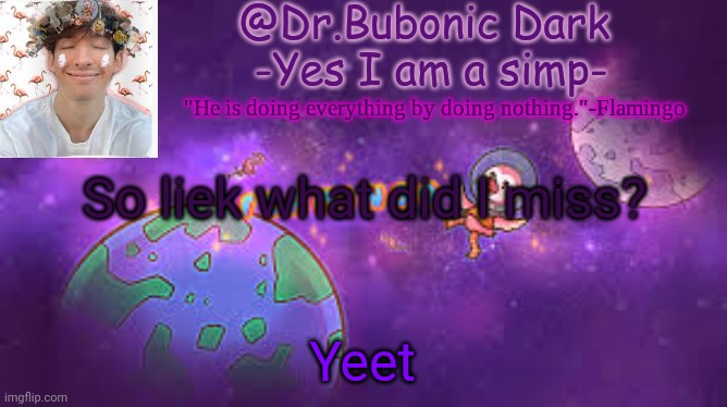 Bubonic's Flamingo temp :) | So liek what did I miss? Yeet | image tagged in bubonic's flamingo temp | made w/ Imgflip meme maker