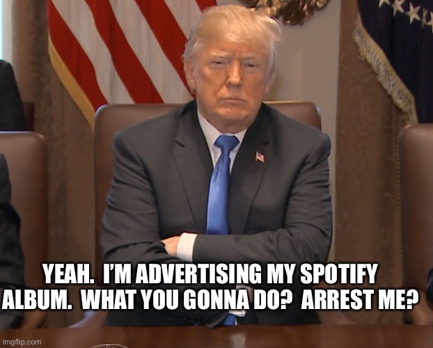 People advertise their YouTube channels. | YEAH.  I’M ADVERTISING MY SPOTIFY ALBUM.  WHAT YOU GONNA DO?  ARREST ME? | image tagged in donald trump crossing arms | made w/ Imgflip meme maker