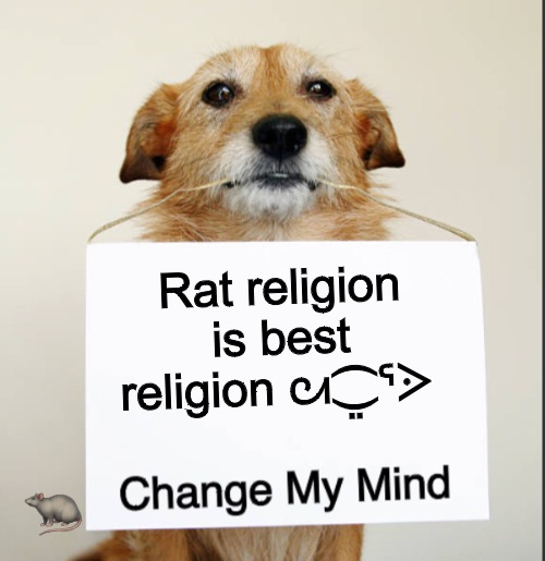 Change My Mind Dog | Rat religion is best religion ᘛ⁐̤ᕐᐷ; 🐀 | image tagged in change my mind dog | made w/ Imgflip meme maker