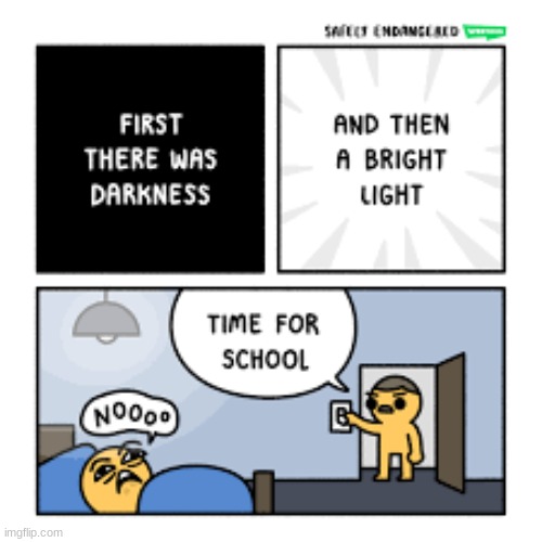 nooo | image tagged in comics/cartoons,school,first there was darkness,safely endangered | made w/ Imgflip meme maker