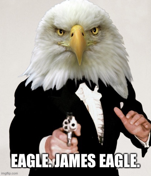 James Eagle | EAGLE. JAMES EAGLE. | image tagged in james eagle,memes,joe biden,jim crow,movie,james bond | made w/ Imgflip meme maker