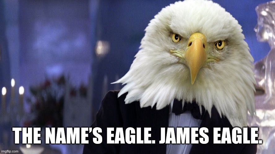 James Eagle | THE NAME’S EAGLE. JAMES EAGLE. | image tagged in james eagle,memes,joe biden,jim crow,james bond,movie | made w/ Imgflip meme maker