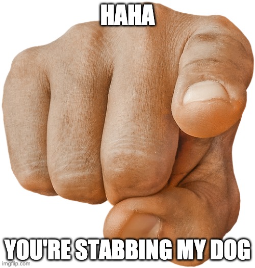 pointing finger | HAHA; YOU'RE STABBING MY DOG | image tagged in pointing finger | made w/ Imgflip meme maker