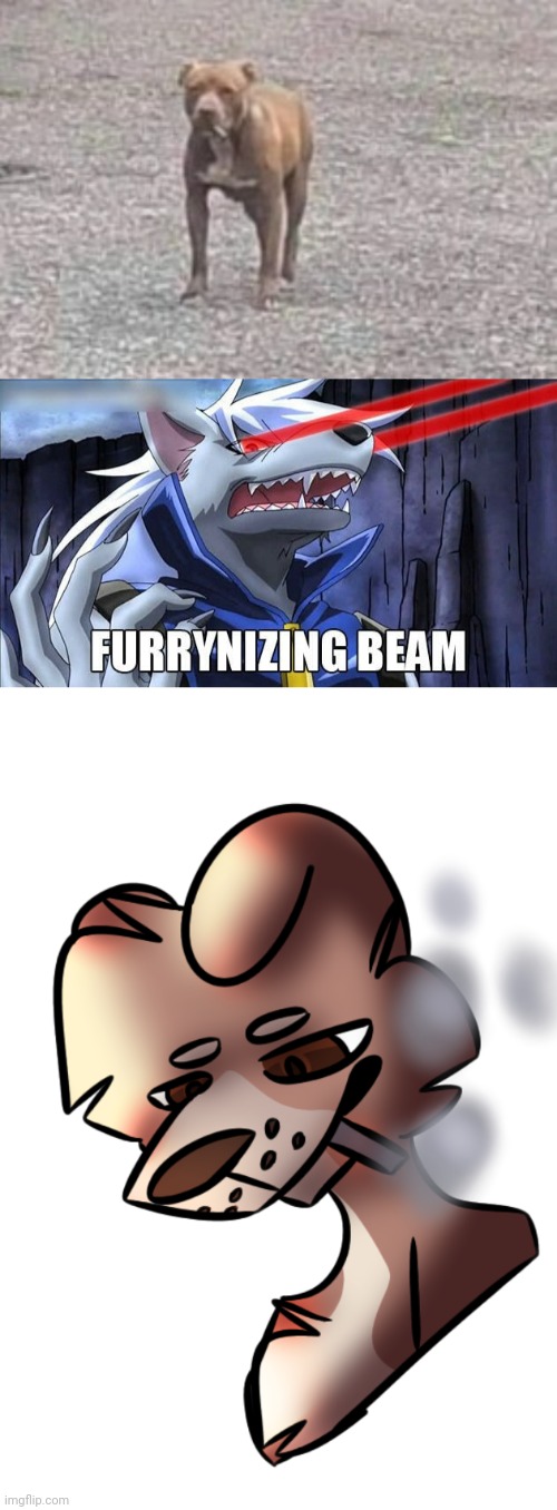 Shit post | image tagged in furrynizing beam | made w/ Imgflip meme maker