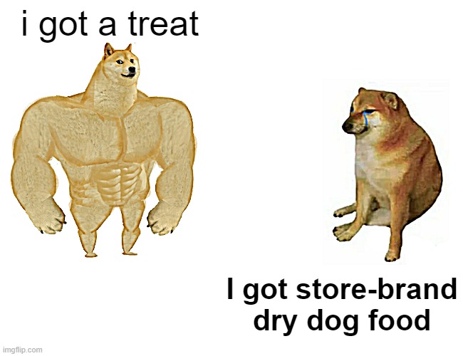 Buff Doge vs. Cheems Meme | i got a treat I got store-brand dry dog food | image tagged in memes,buff doge vs cheems | made w/ Imgflip meme maker