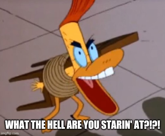 WHAT THE HELL ARE YOU STARIN' AT?!?! | image tagged in duckman | made w/ Imgflip meme maker