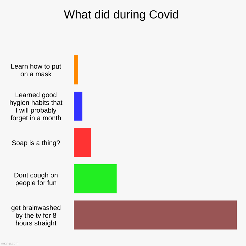 What did during Covid | Learn how to put on a mask, Learned good hygien habits that I will probably forget in a month, Soap is a thing?, Don | image tagged in charts,bar charts | made w/ Imgflip chart maker