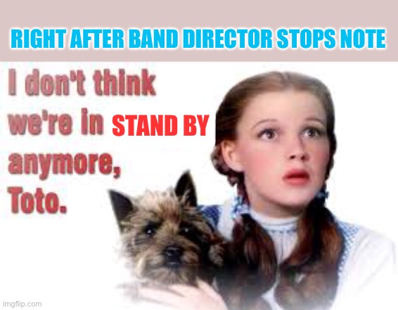 Not in stand by | RIGHT AFTER BAND DIRECTOR STOPS NOTE; STAND BY | image tagged in band,marching band,relatable | made w/ Imgflip meme maker
